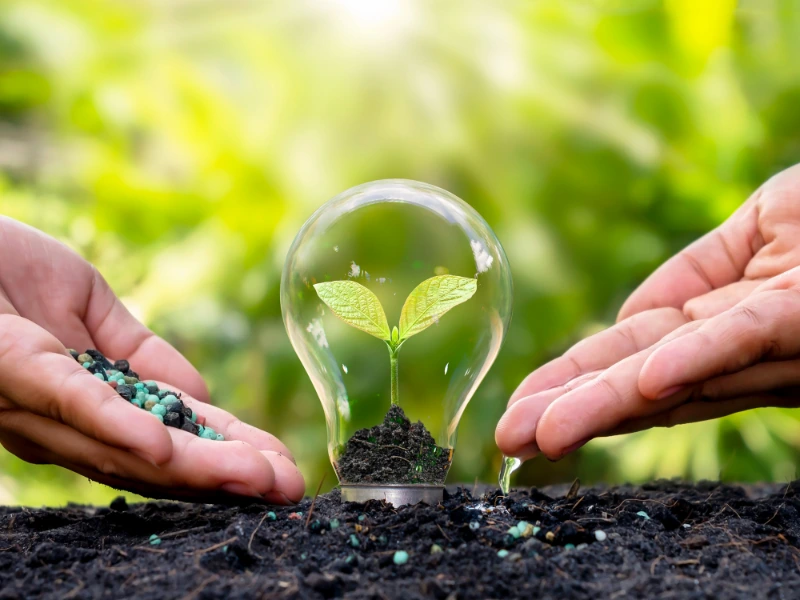 Glühbirne mit Pflanze