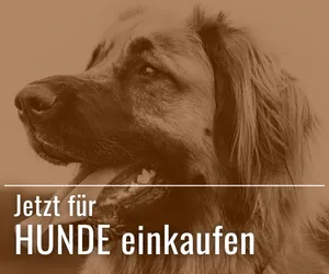 Für Hunde einkaufen