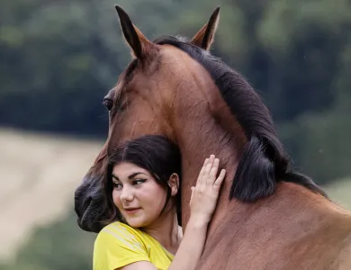 Pferd Hero Mobile Venya 390x300