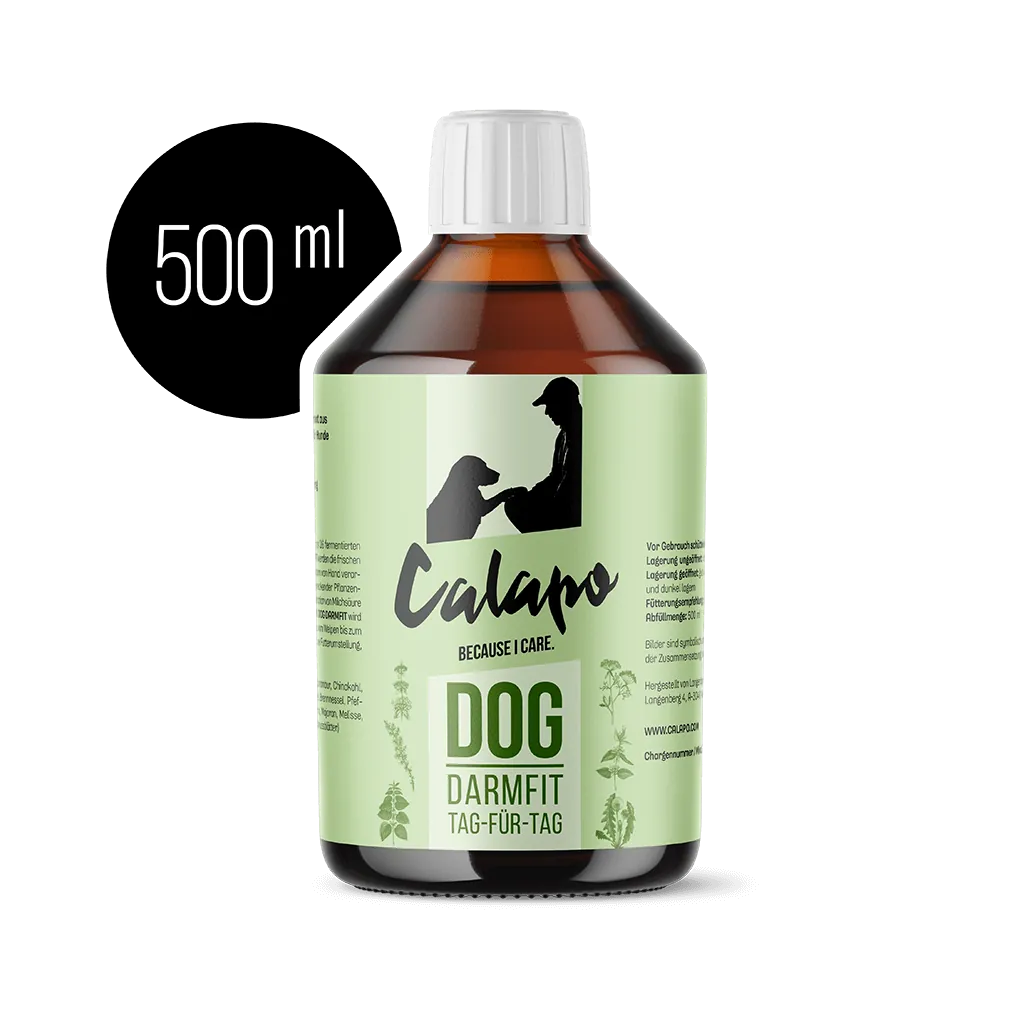 Calapo-Dog-Darmfit-für-Hunde