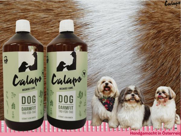 Calapo Dog Fellwechselpaket