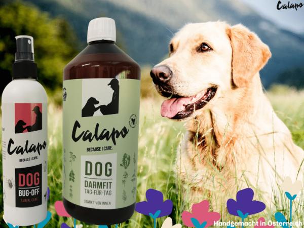 Calapo Dog Zeckenschutzpaket groß