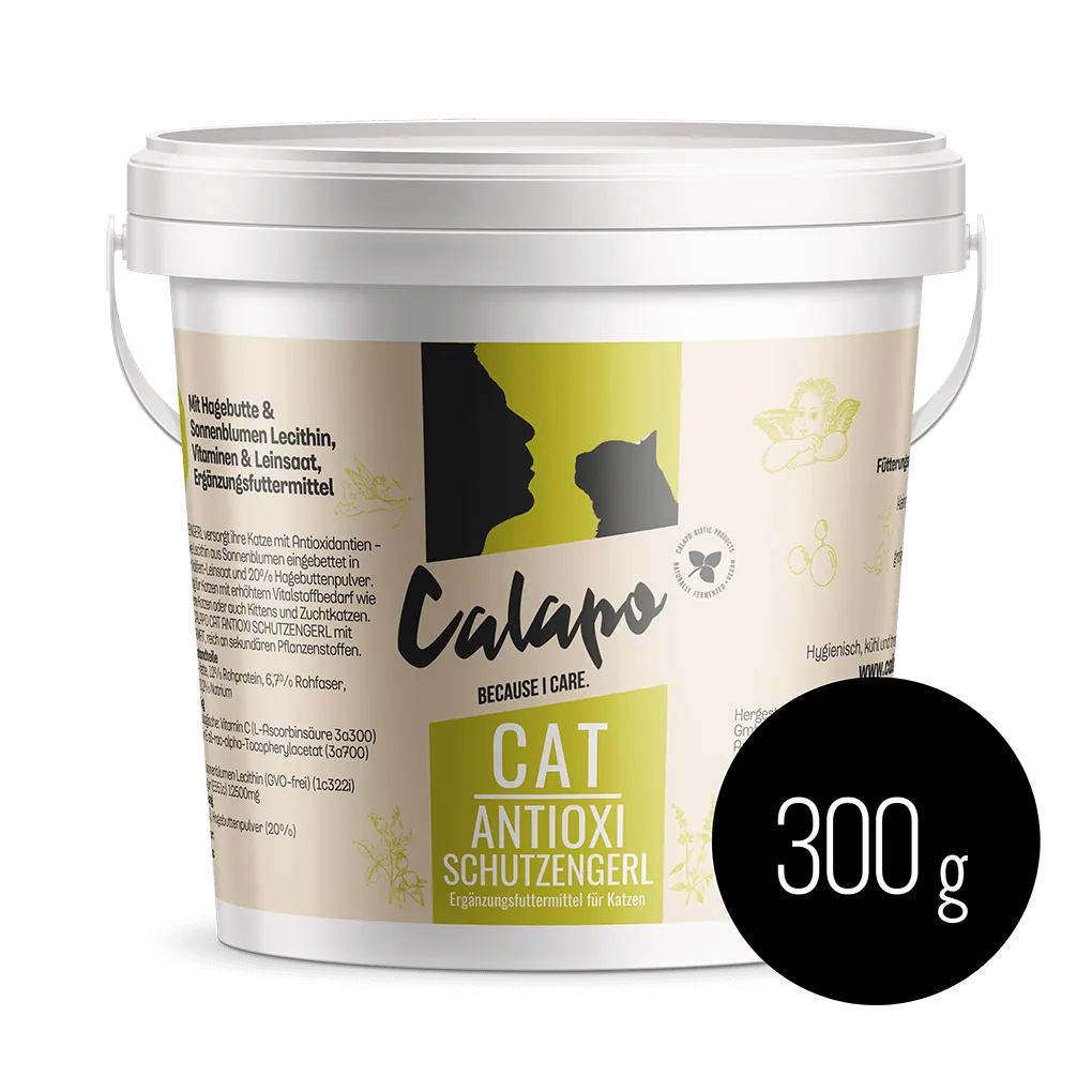 Calapo-Cat-Antioxi-Schutzengerl-für Katzen