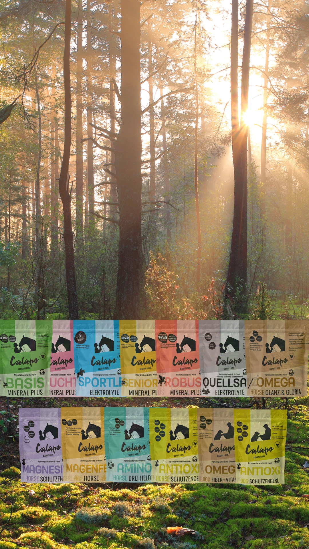 Alle Standbodenbeutel Mobil