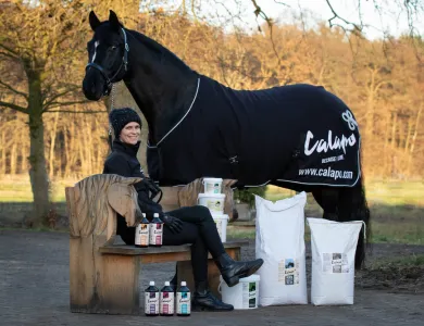 Mobile - Calapo, Frau mit Pferd und 2 Hunden auf der Wiese