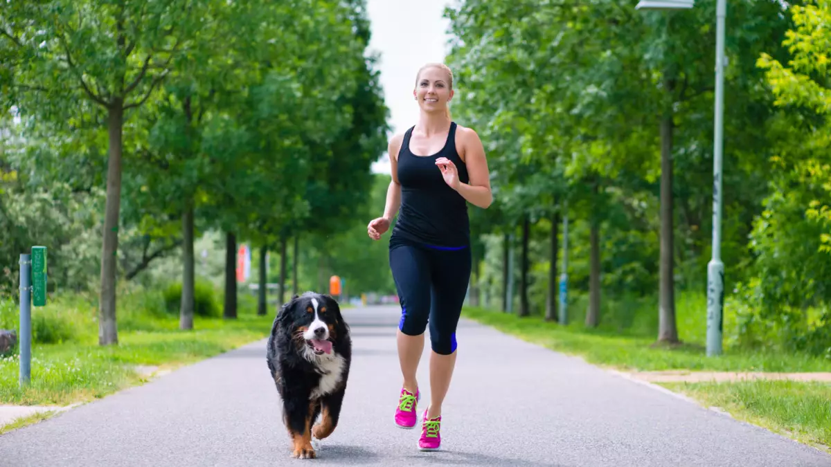 Hund läuft mit Frau