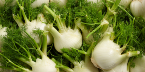 Fenchel