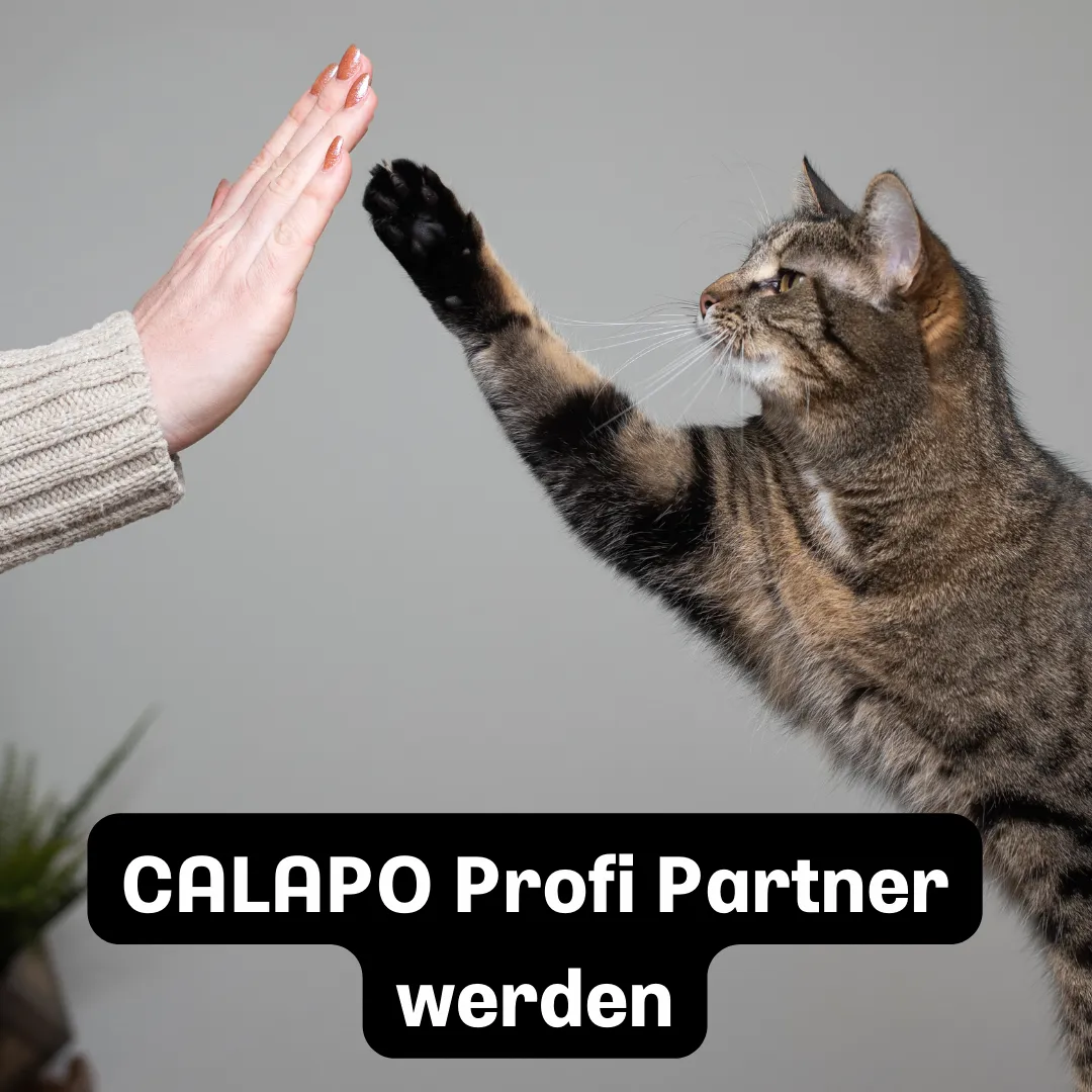 Calapo Profi Partner werden