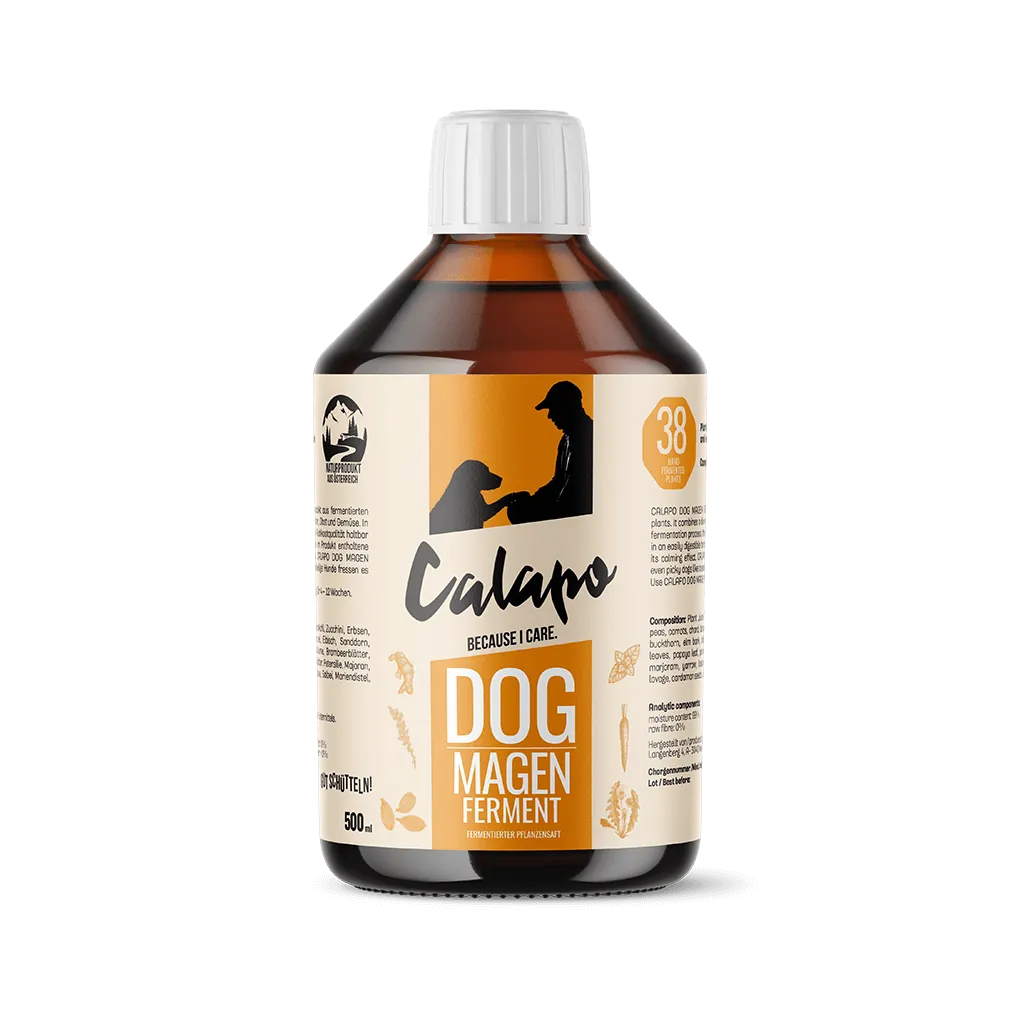 CALAPO DOG MAGEN FERMENT für Hunde