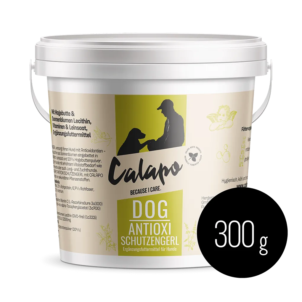 Calapo-Dog-Antitoxi-Schutzengerl-300g_Antioxidantien für Hunde