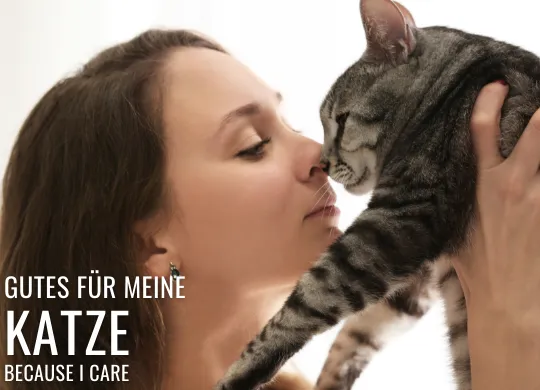 Katze Because I Care